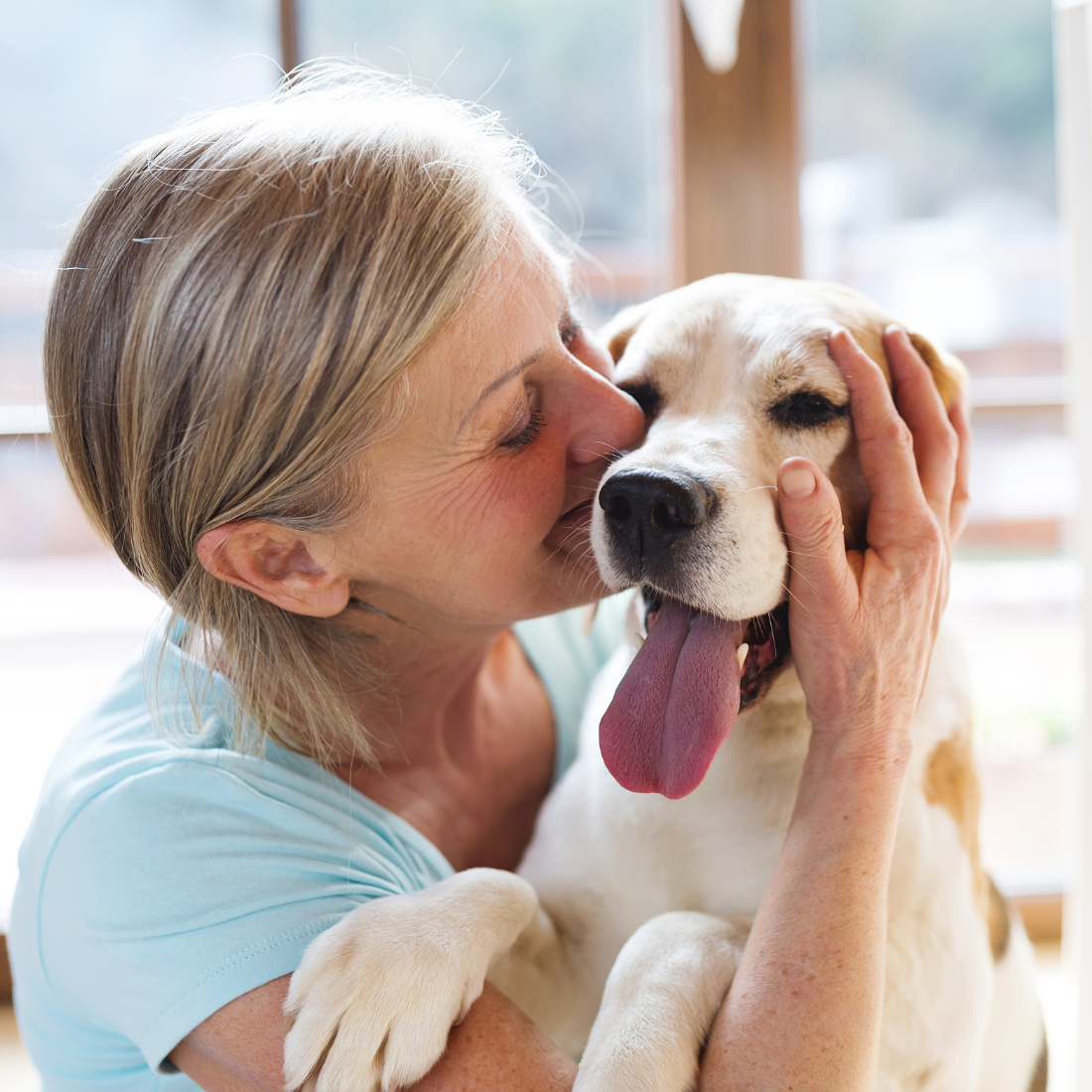 Get deeper insights into your customers' pets