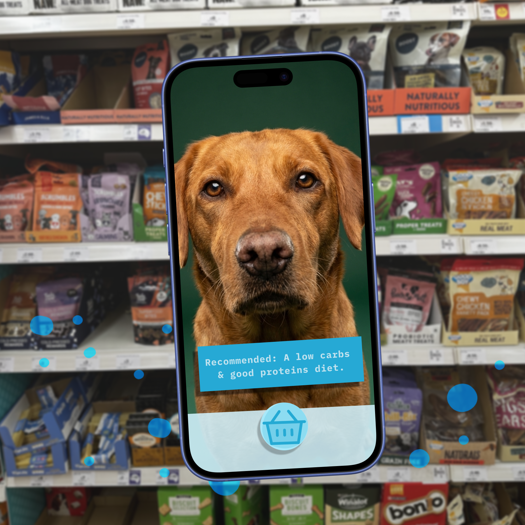 Para el bienestar de las mascotas de tus clientes