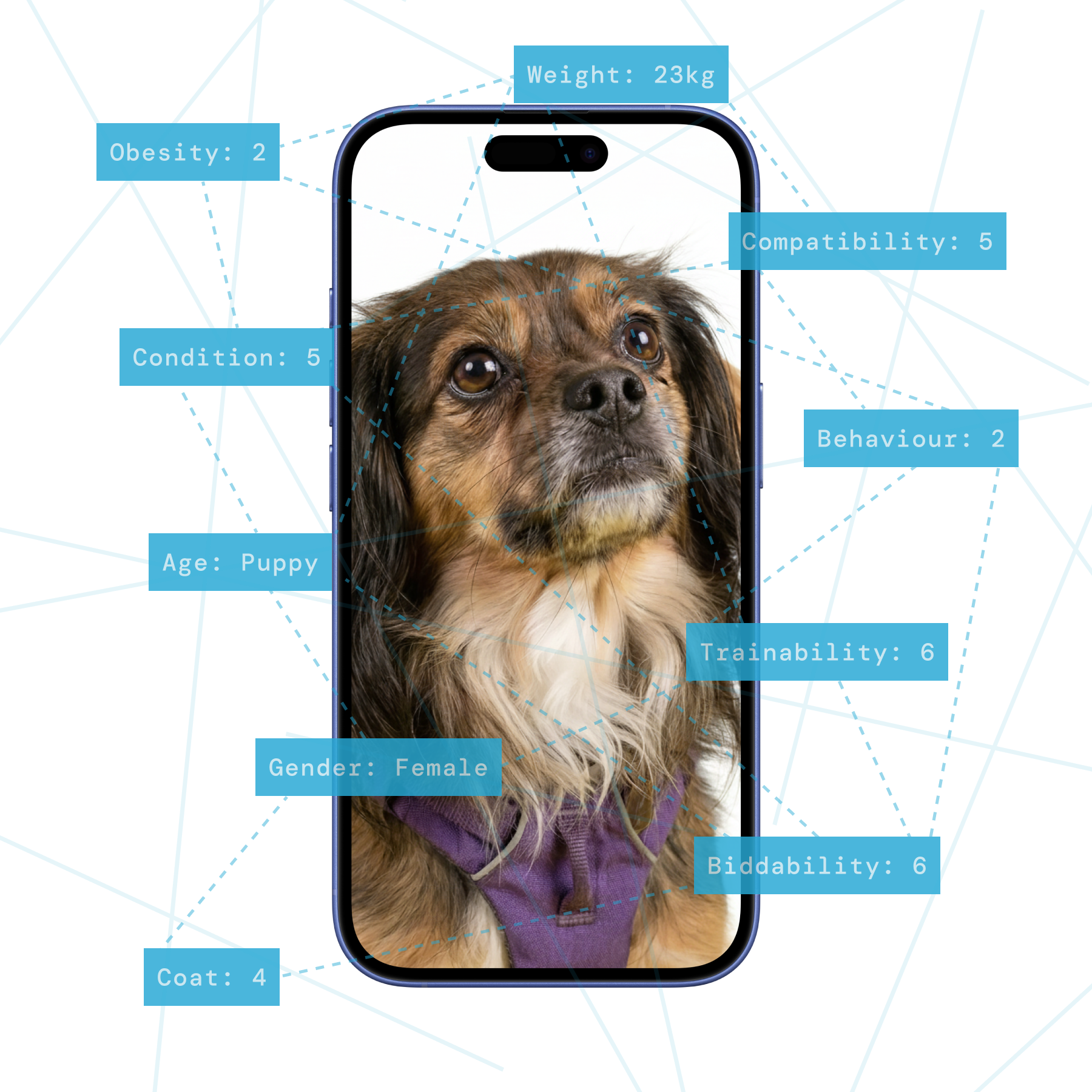 Primas personalizadas más allá de los datos genéricos de la raza. Evalúa la condición real de la mascota de tu cliente antes de cotizar.
